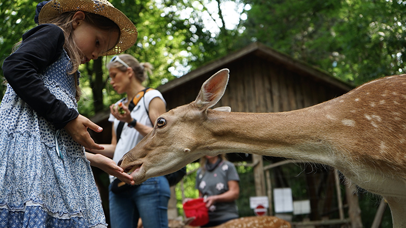 Tiere im Trixipark