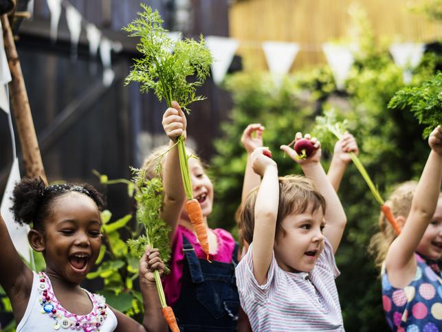 Kinder beim Gemüsegärtnern