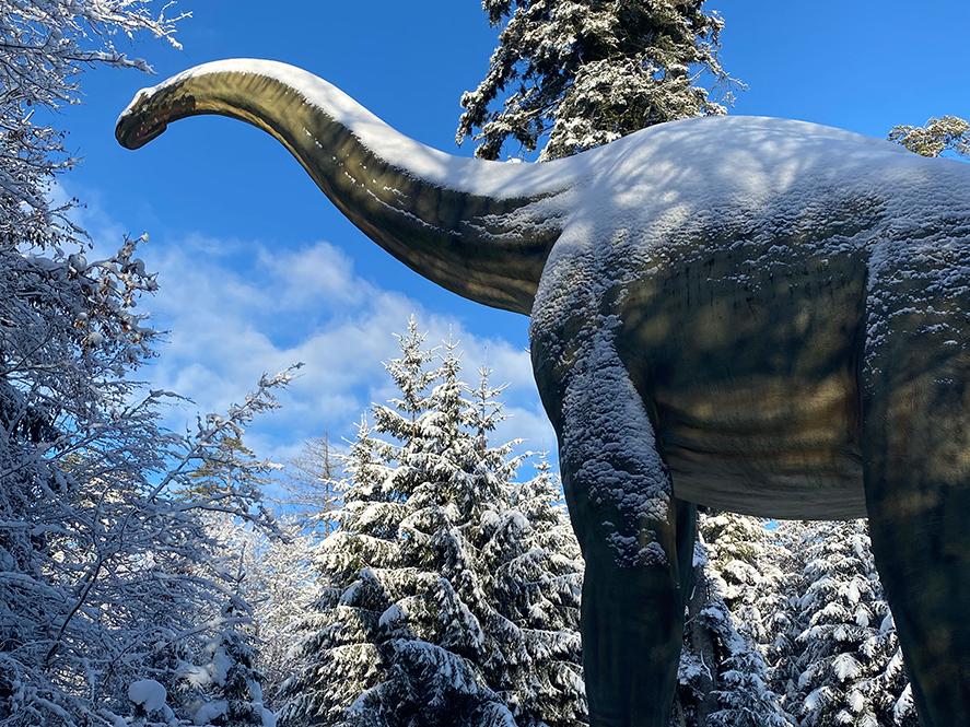 Winter im Dinosauriermuseum Altmühltal